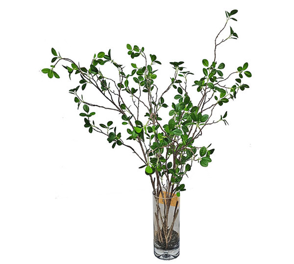 Leaf Sprays- Lilly Pilly